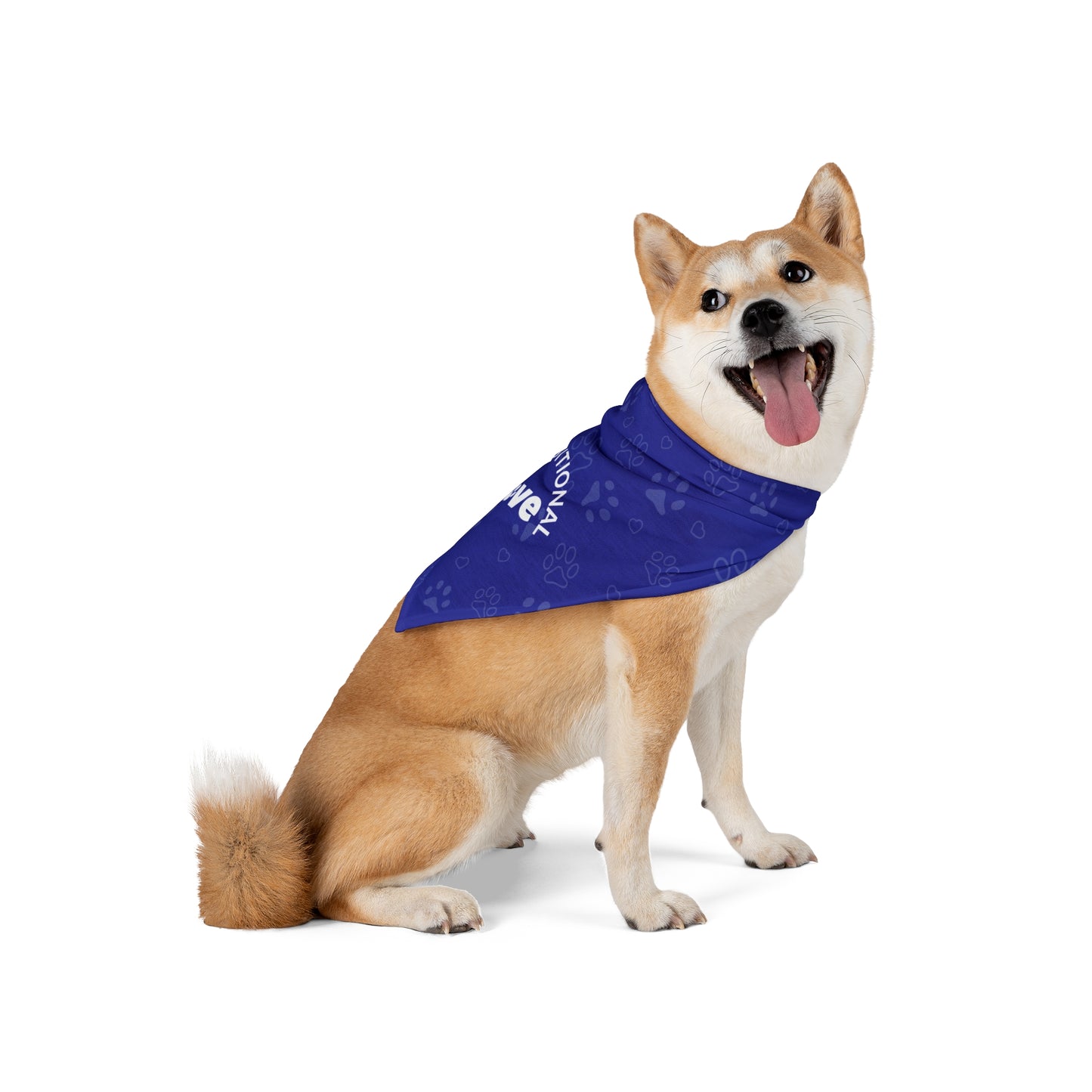 Unconditional Love 2 Pet Bandana Blue