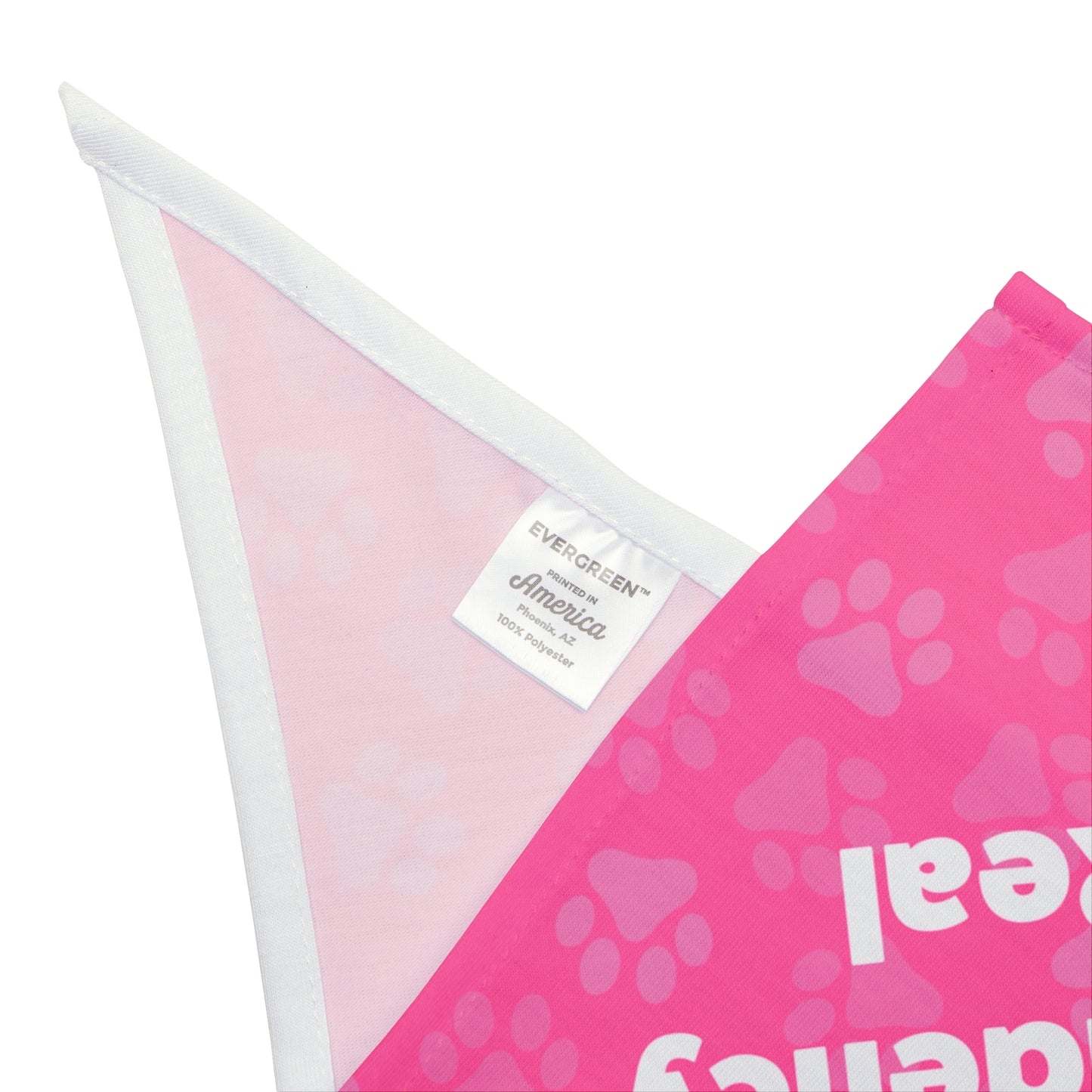 Treat Dependency is Real Pet Bandana Pink