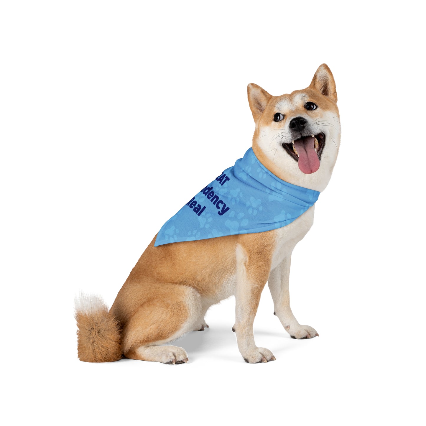 Treat Dependency is Real Pet Bandana Blue