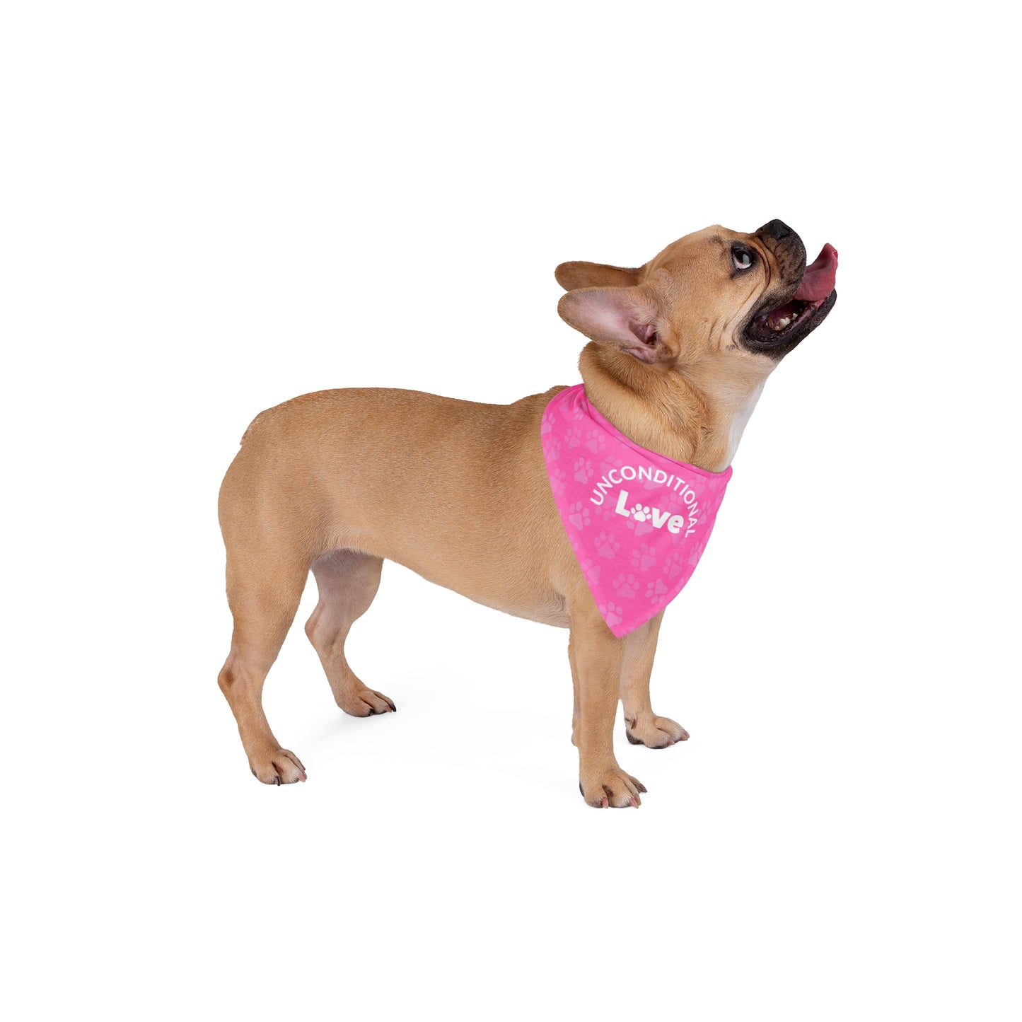 Unconditional Love 2 Pet Bandana Pink