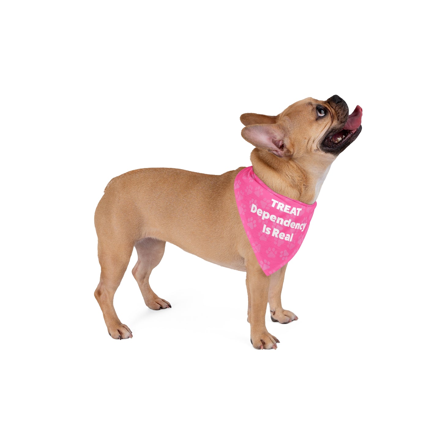 Treat Dependency is Real Pet Bandana Pink