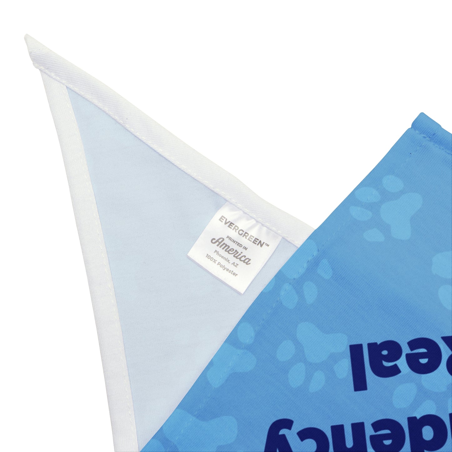 Treat Dependency is Real Pet Bandana Blue