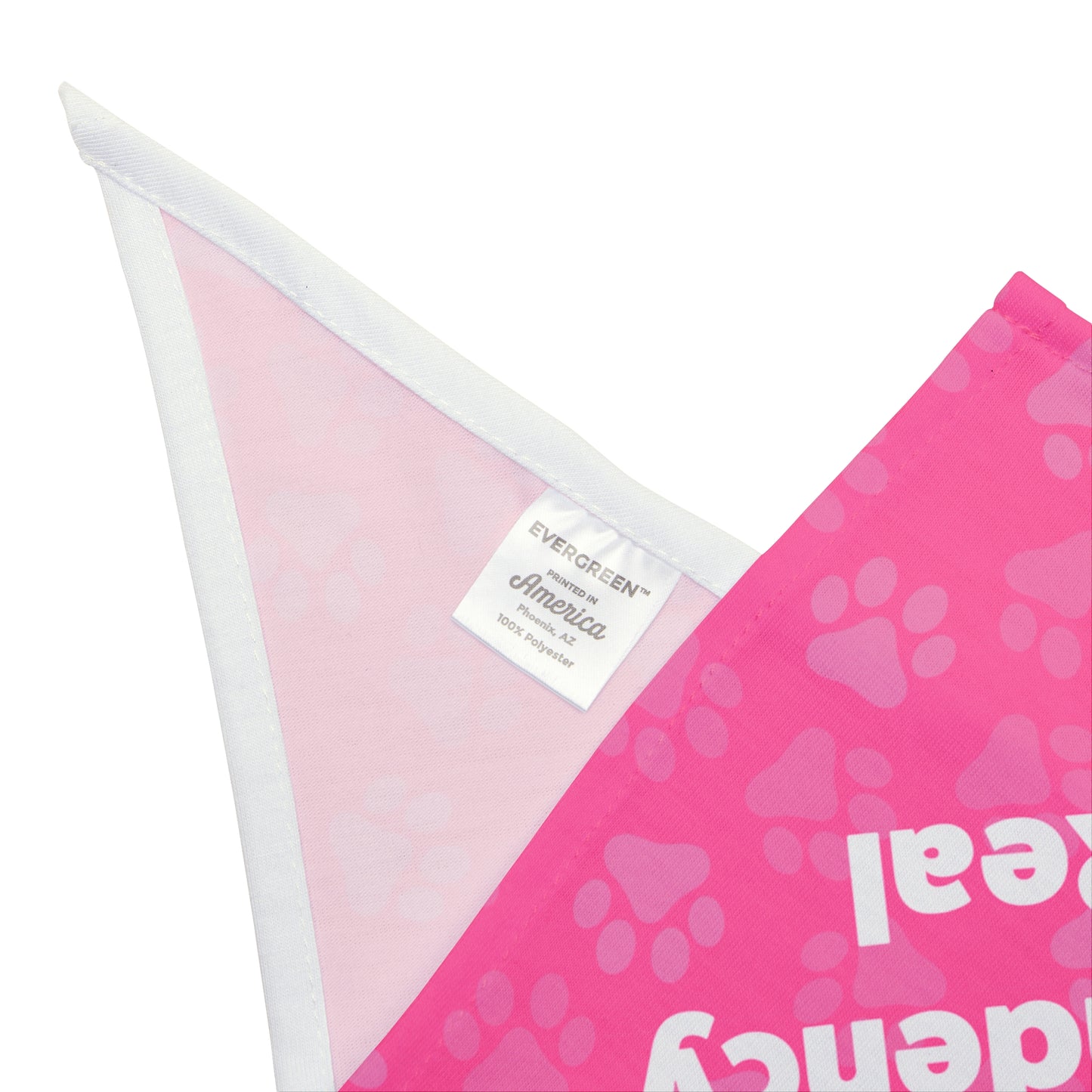 Treat Dependency is Real Pet Bandana Pink