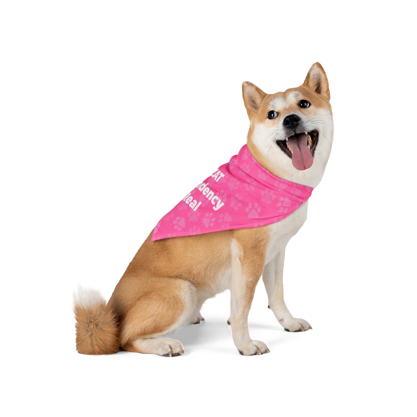 Treat Dependency is Real Pet Bandana Pink