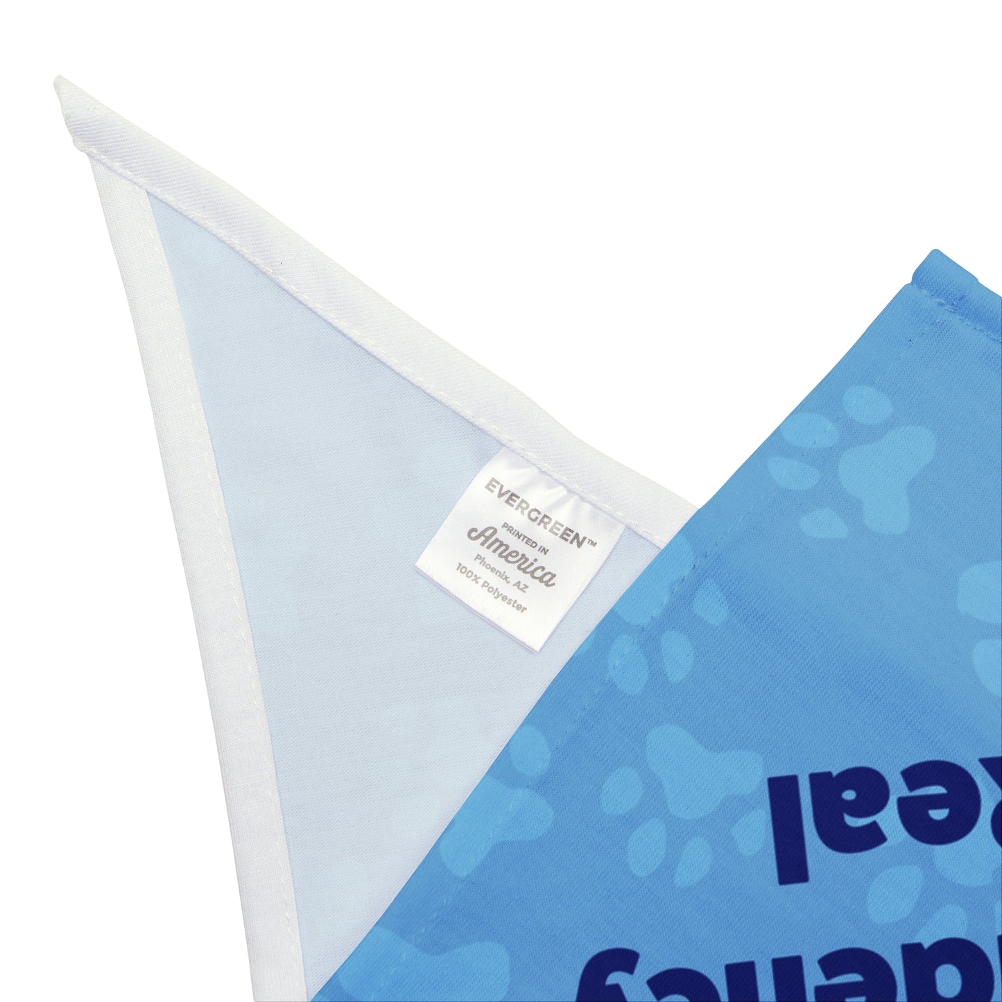 Treat Dependency is Real Pet Bandana Blue